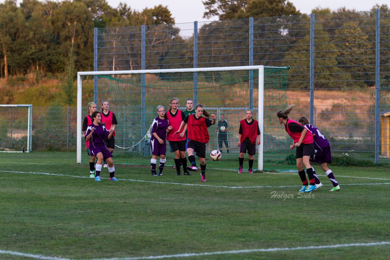 Bild 214 - B-Juniorinnen FSC Kaltenkirchen - SV Henstedt Ulzburg : Ergebnis: 2:0